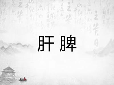 肝脾