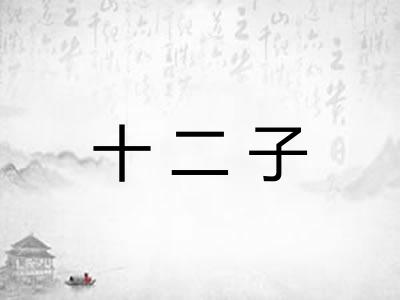 十二子