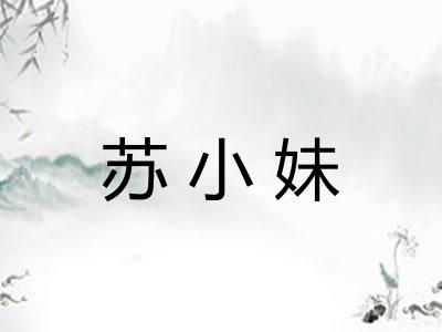 苏小妹