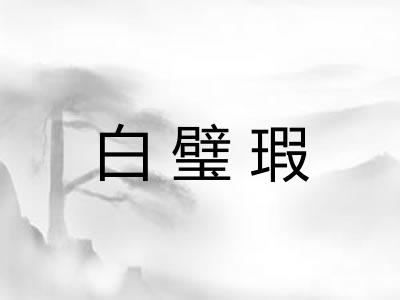 白璧瑕