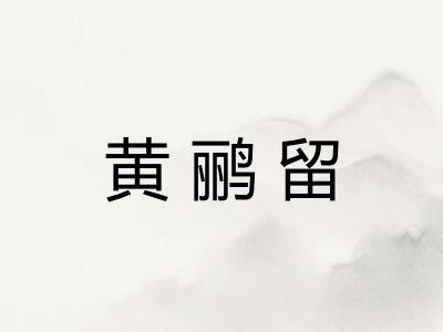 黄鹂留 黄鹂留
