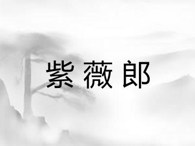 紫薇郎
