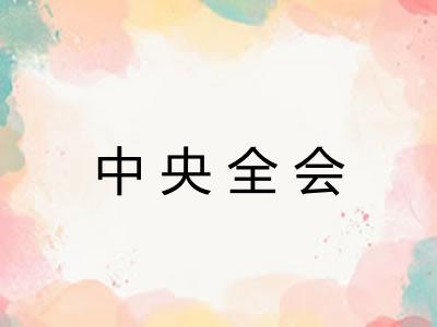 中央全会