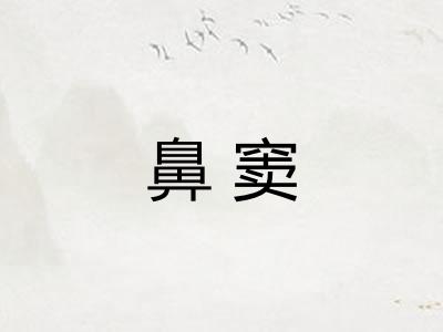 鼻窦