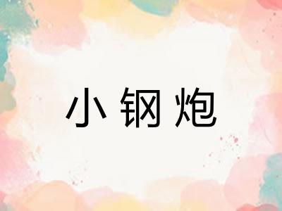 小钢炮
