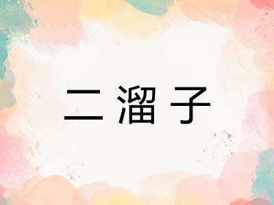 二溜子