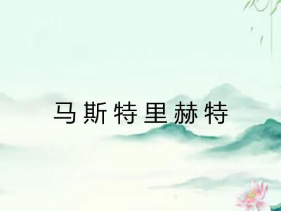 马斯特里赫特