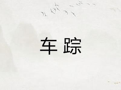 车踪