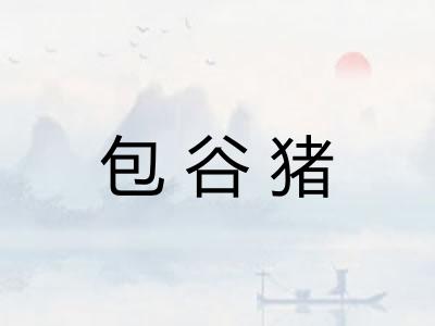 包谷猪