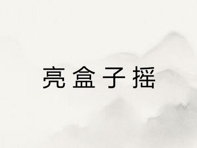 亮盒子摇