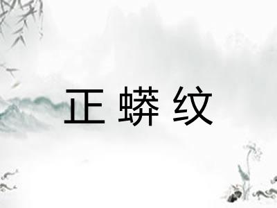 正蟒纹