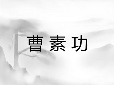 曹素功