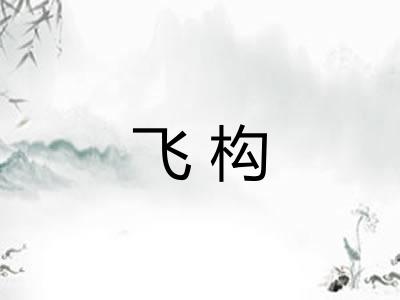 飞构