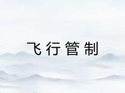 飞行管制
