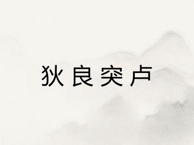 狄良突卢
