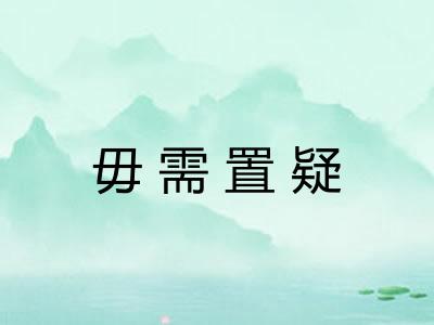毋需置疑
