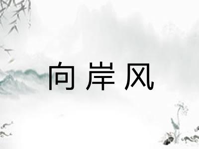 向岸风