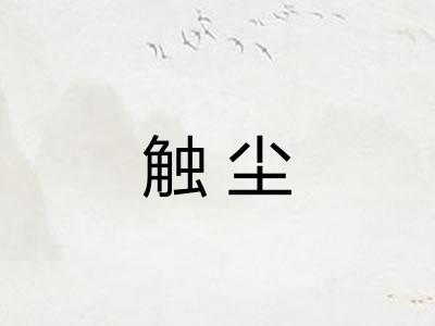触尘