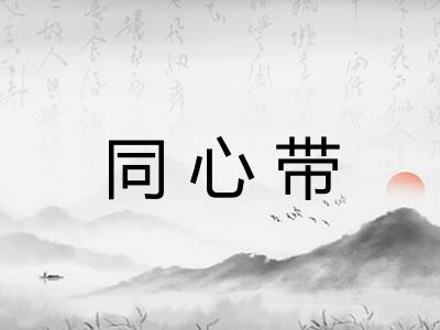 同心带