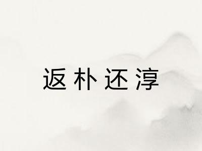 返朴还淳