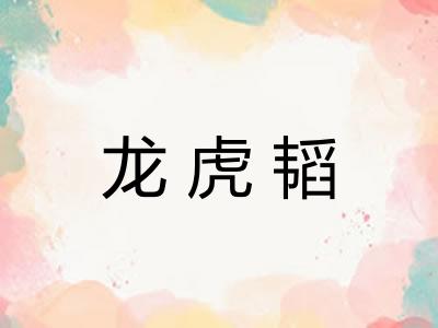 龙虎韬