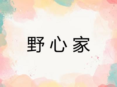 野心家