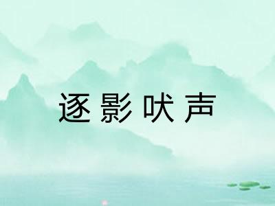 逐影吠声