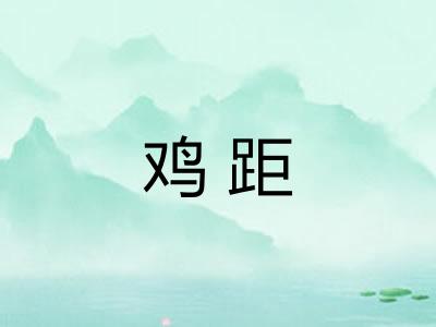 鸡距