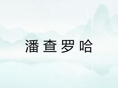 潘查罗哈