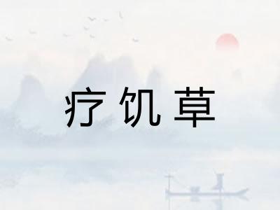 疗饥草