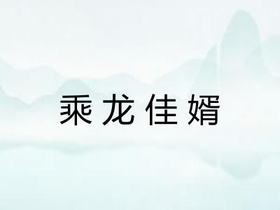 乘龙佳婿 乘龙佳婿