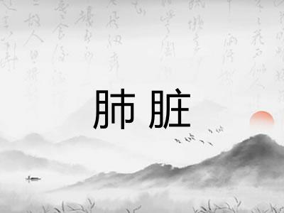 肺脏