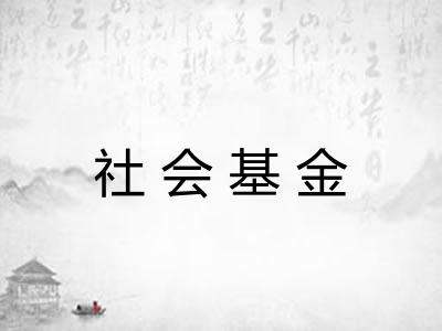 社会基金