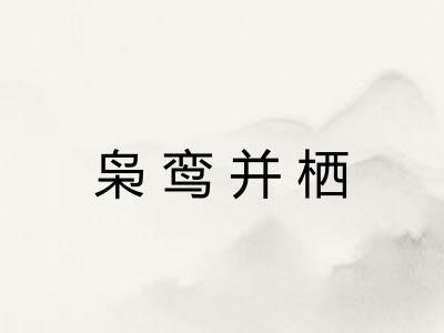 枭鸾并栖