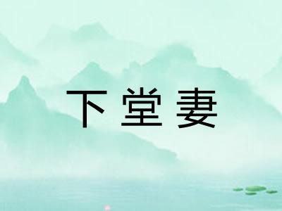 下堂妻