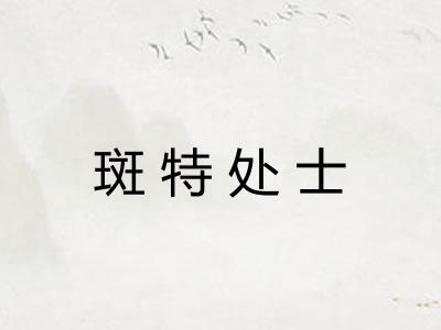 斑特处士