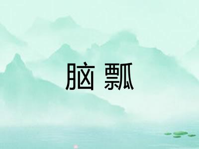 脑瓢