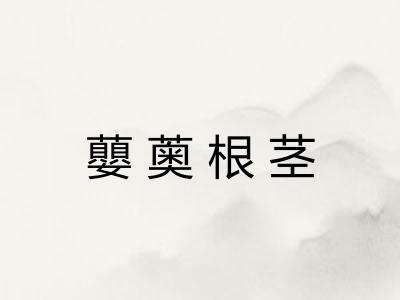 蘡薁根茎