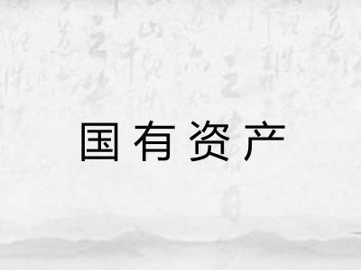 国有资产