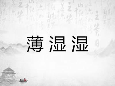 薄湿湿