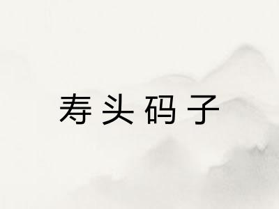 寿头码子 寿头码子