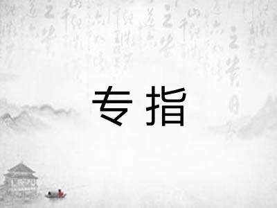 专指