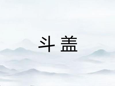 斗盖