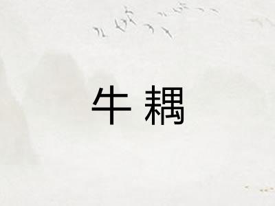 牛耦