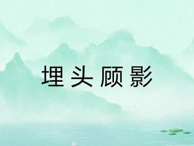 埋头顾影
