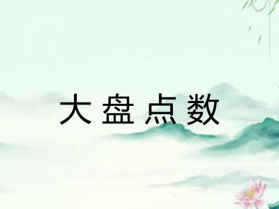 大盘点数