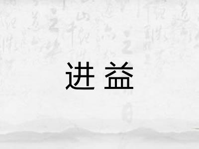 进益
