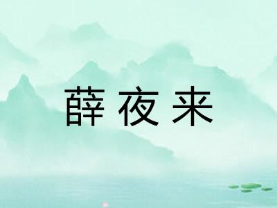 薛夜来