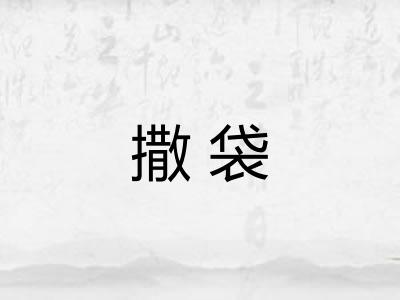 撒袋