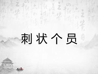 刺状个员